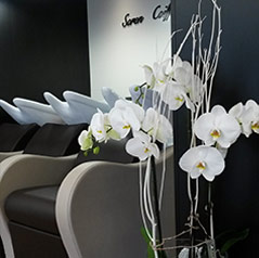 Salon Soren Coiffure